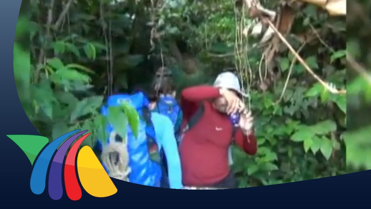 Buscan tesoro en la Selva Zoque en Veracruz | Noticias de Veracruz
