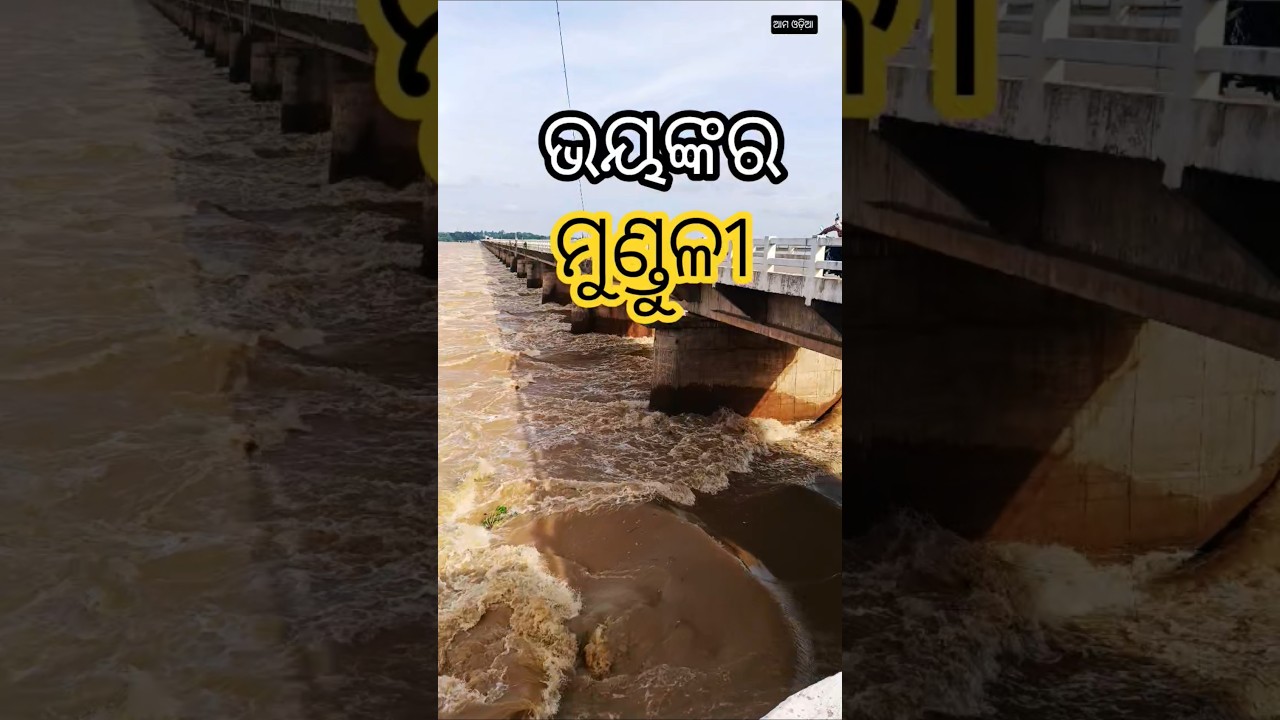 😱 କଟକ ମୁଣ୍ଡୁଳୀ ଭୟଙ୍କର ବନ୍ୟା ପାଣି🙏ସବୁ ଭାସିଯାଉଛି😱Deadly flood water at Kataka Munduli #flood #floods