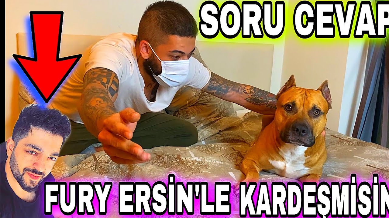 ERSİN YEKİN İLE OLAN BAĞIM VE BILMEDIKLERINIZ SORU-CEVAP ( PİTBULL PAŞA İLE CEVAPLADIK)