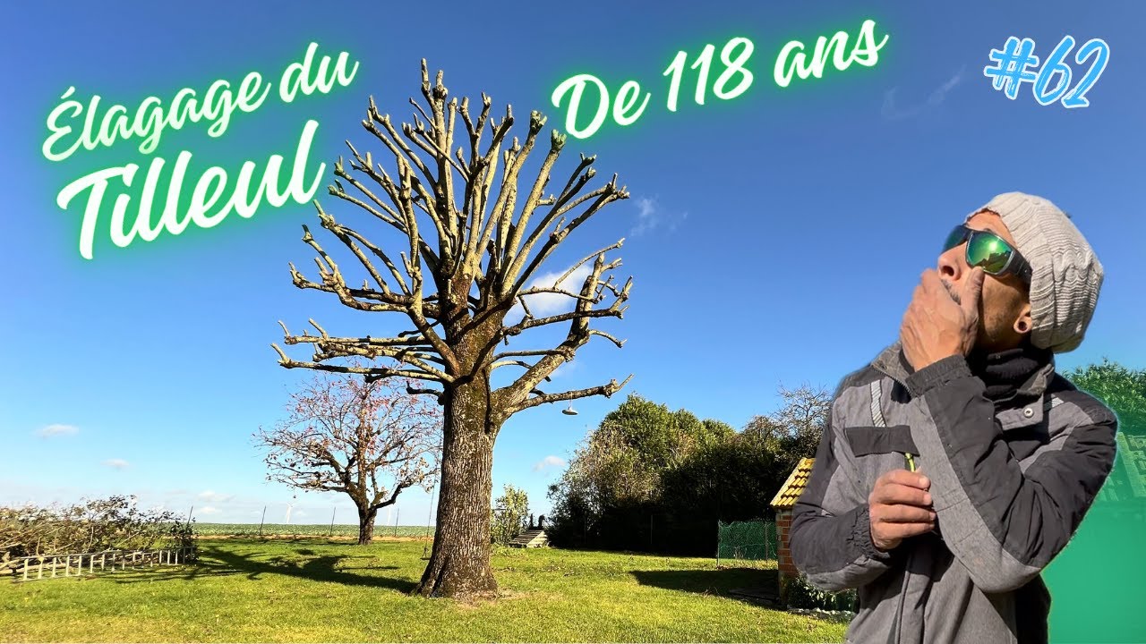 🌳 Élagage d’un vieux tilleul de 118 ans – à la main, pour le sauver 🍃 - EP62