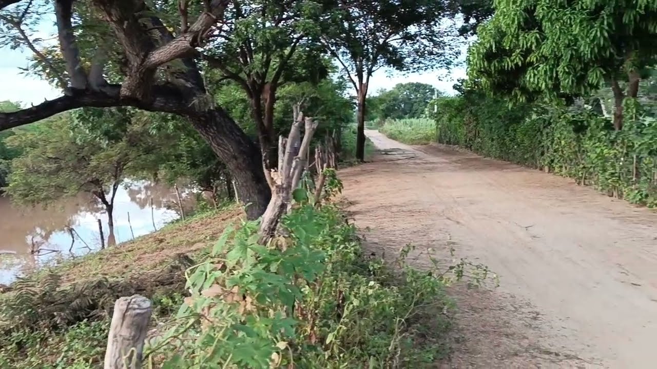 Río são Francisco 