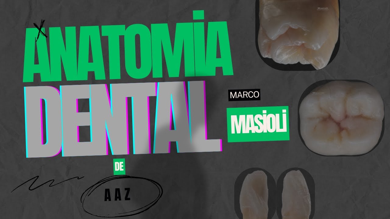 Antomia Dental de A a Z