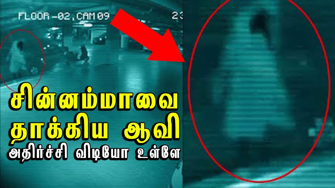 சின்னம்மாவை தாக்கிய ஆவி!! அதிர்ச்சி வீடியோ உள்ளே | Amnesia #1