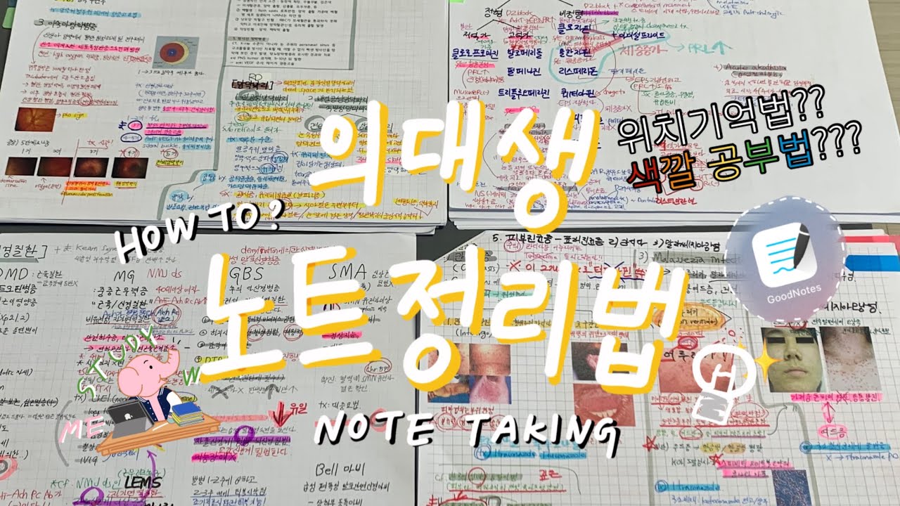 (eng) How To Note Taking? | 의대생 노트정리법📝| 직관적 노트정리, 구조화, 노트정리 꿀팁, 아이패드 노트정리, 굿노트, 공부법추천