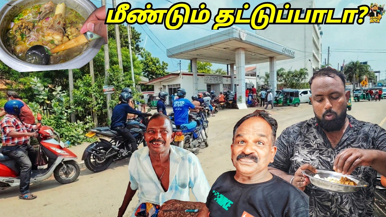பெட்ரோல் இல்லையா யாழ்ப்பாணத்தில்?😲 Sunday Samayal Jaffna Tamil Vlogs | Alasteen Rock