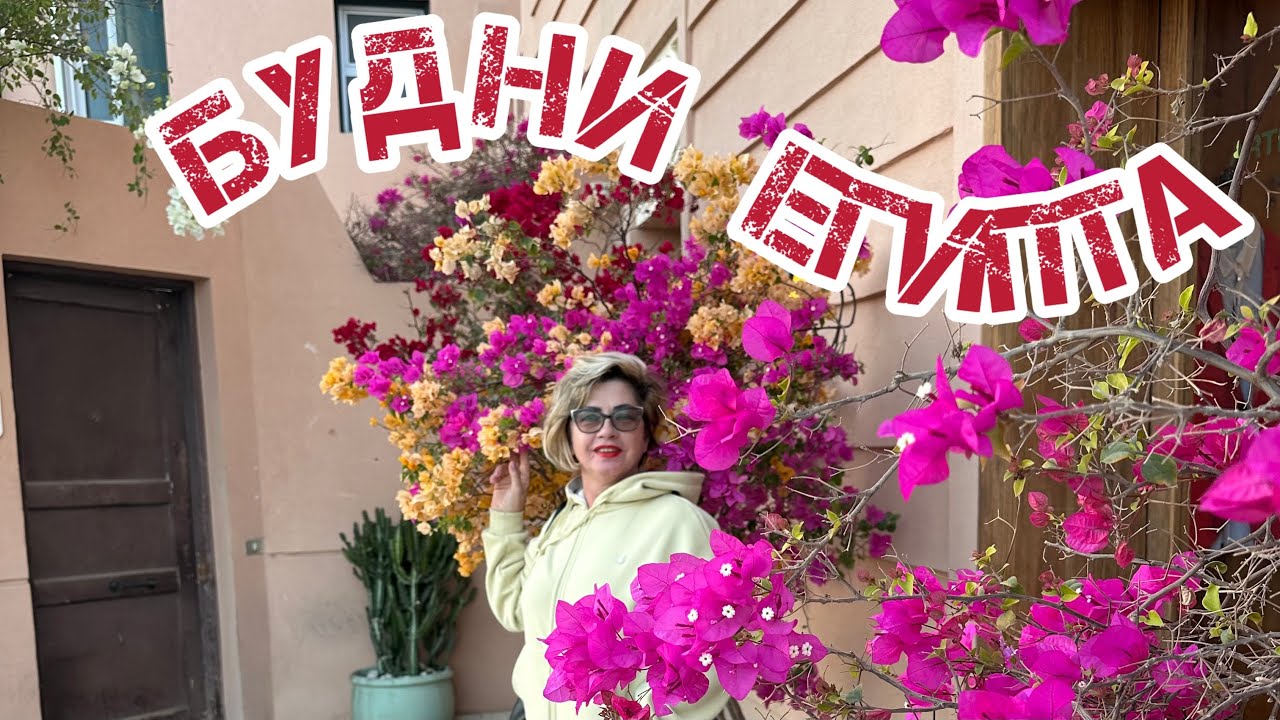 Egypt 🇪🇬.Будни Египта. Один день моей жизни  в Хургаде!🐫🌴🍓👍
