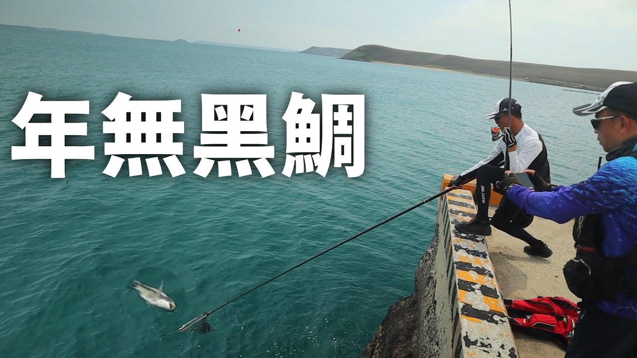 【紀錄挑戰】挑戰傳說中一年釣不到一條的「年無黑鯛」!! 終於打破個人最大紀錄啦!! | 【50公分的