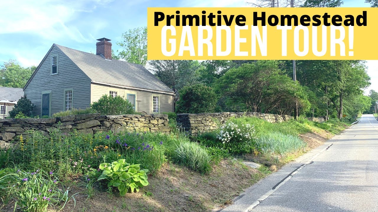 June Garden Tour/1700's Farmhouse HOMESTEAD/Primitive Gardens
