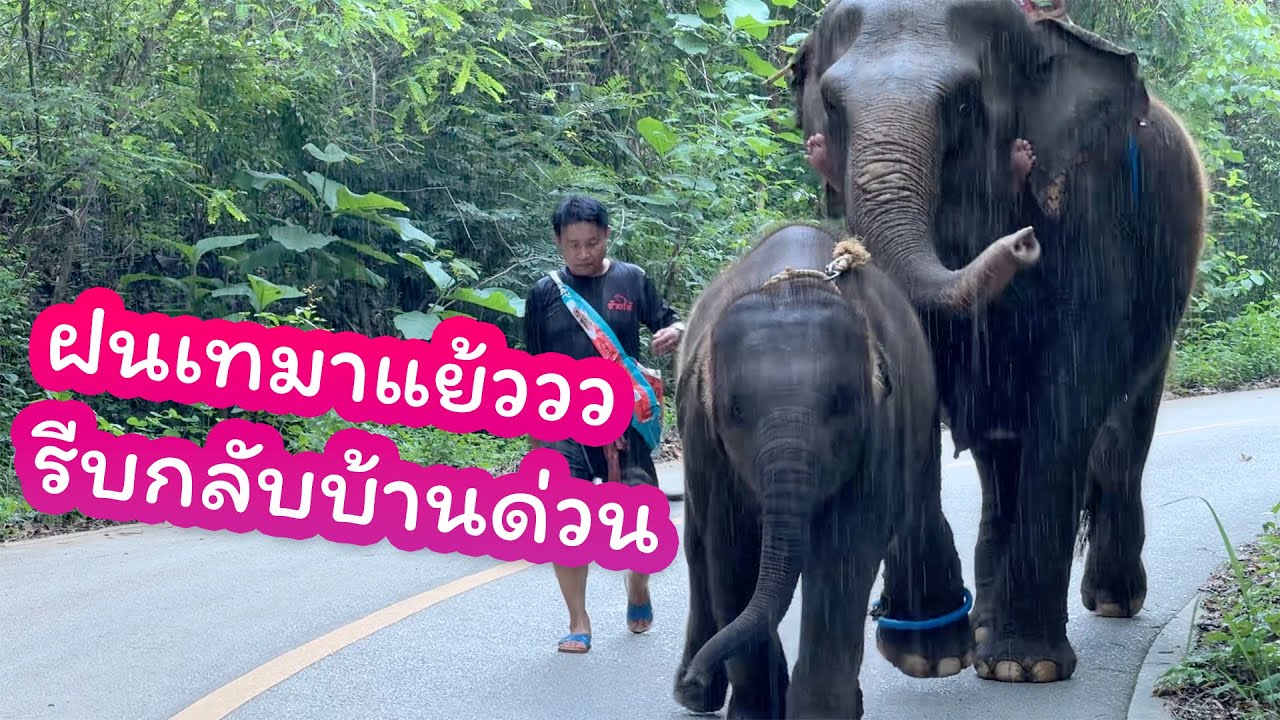 น้องมีนา เดินไปเล่นน้ำ 17 พฤษภาคม 2568