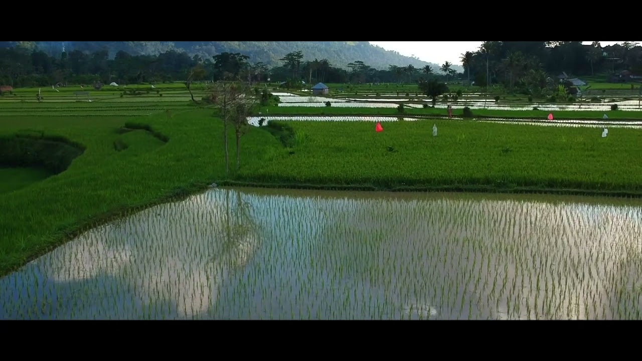 Juan Land Advocacy Video