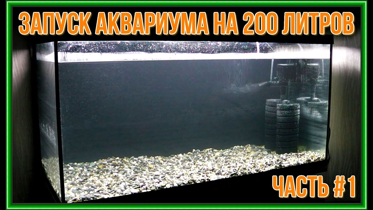Запуск аквариума на 200 литров Часть №1