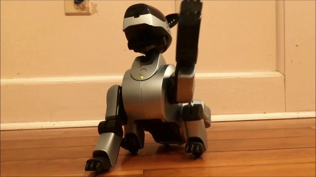 Aibo ERS-210 Running on Japanese Recognition Software