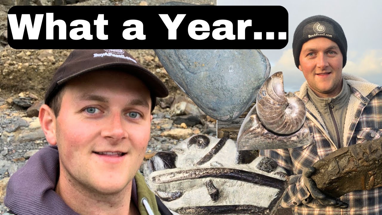 Top 10 Fossils of 2023