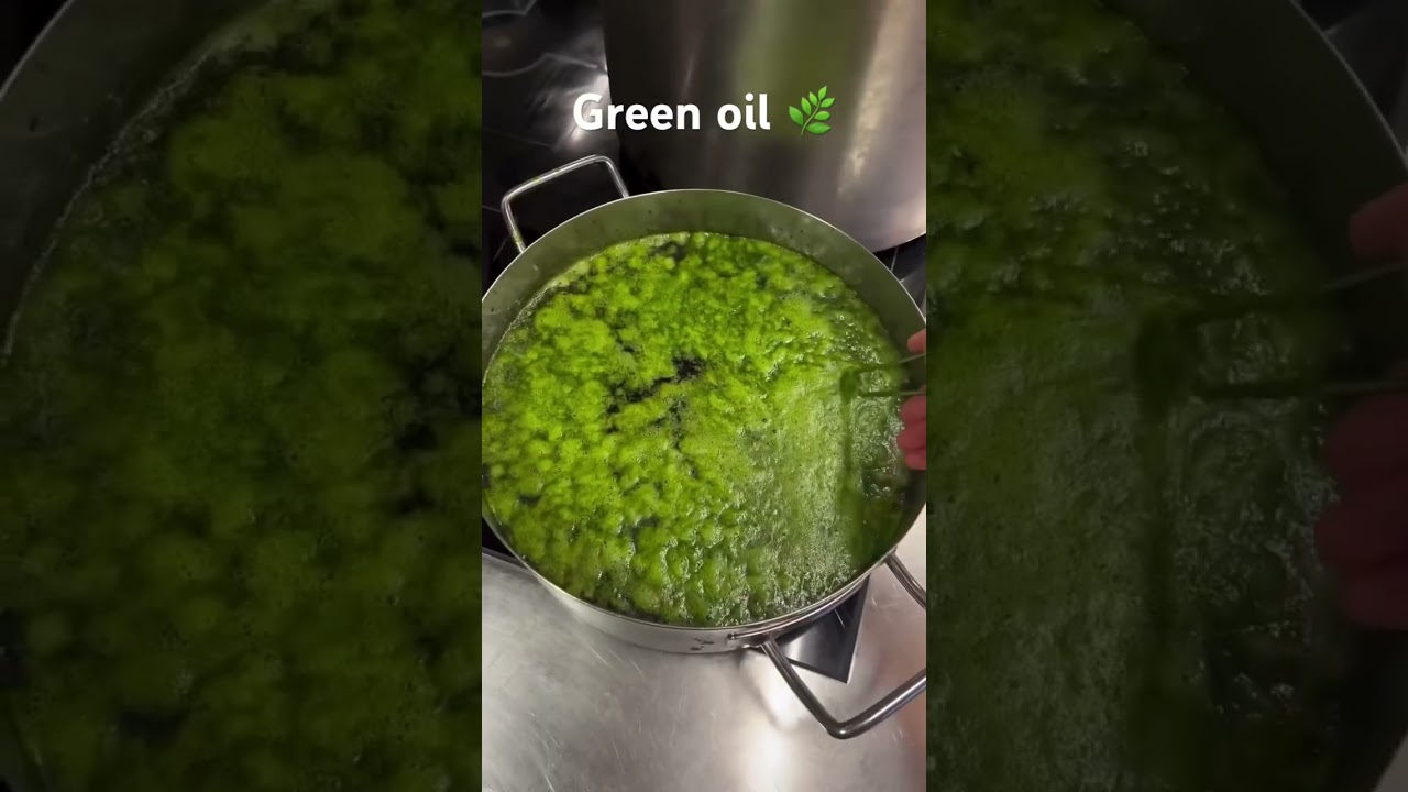 Green oil learn how to make 🌿