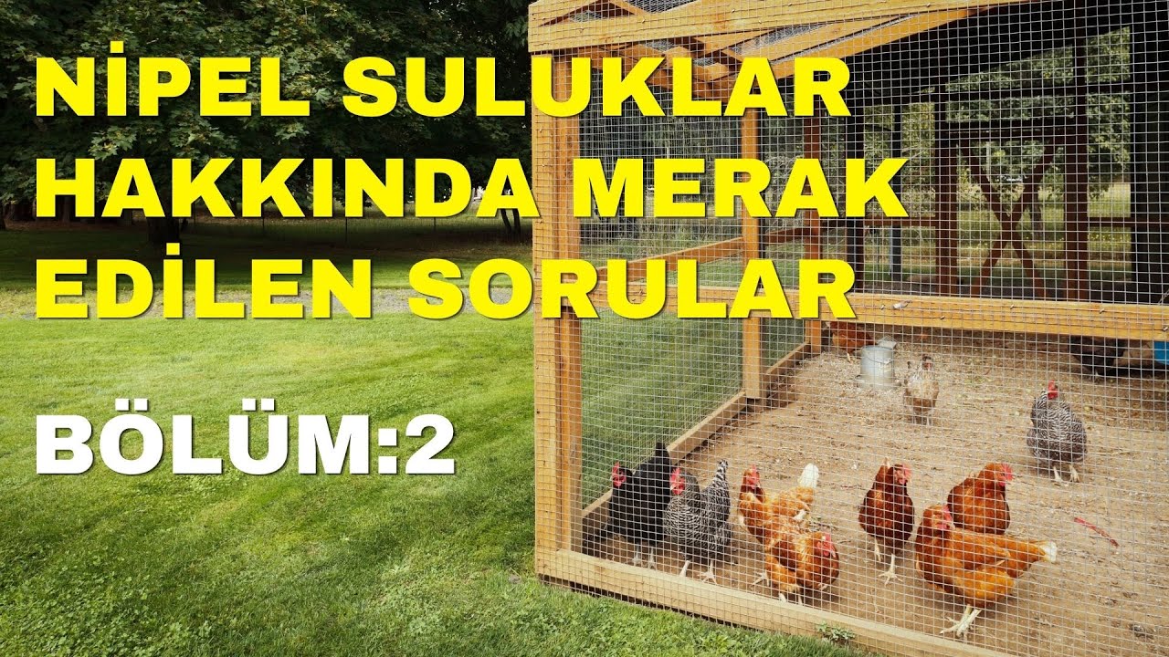 Nipel Suluklar Adına Merak Edilenler ve Sıkça Sorulan Sorular - Bölüm 2