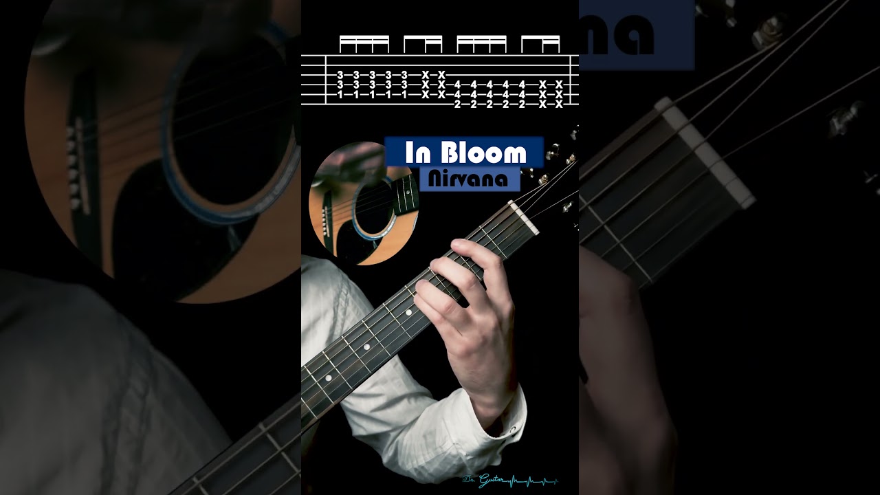 In Bloom - Nirvana | TABS Tutorial - Dr. Guitar