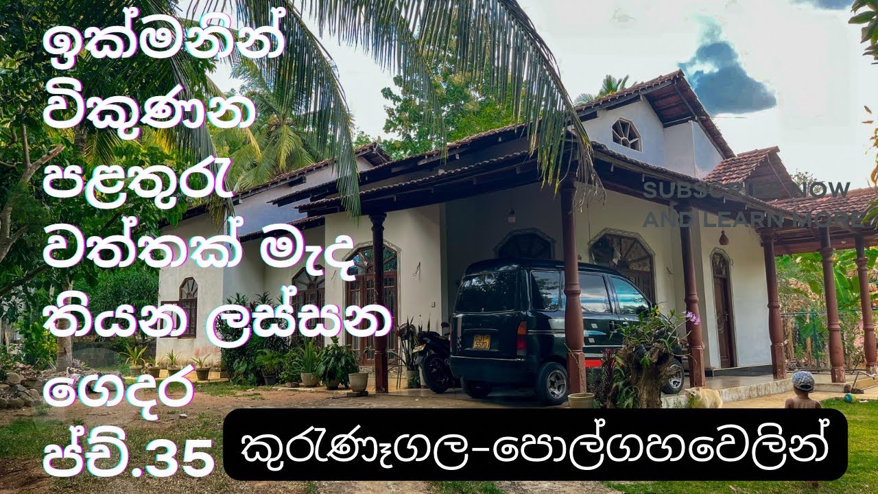 පළතුරැ වත්තයි ගෙදරයි ඉක්මනින් විකිණීමට | house for sale near the town 🏠 