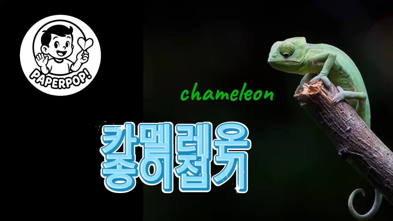 Chameleon 카멜레온 페이퍼팝!