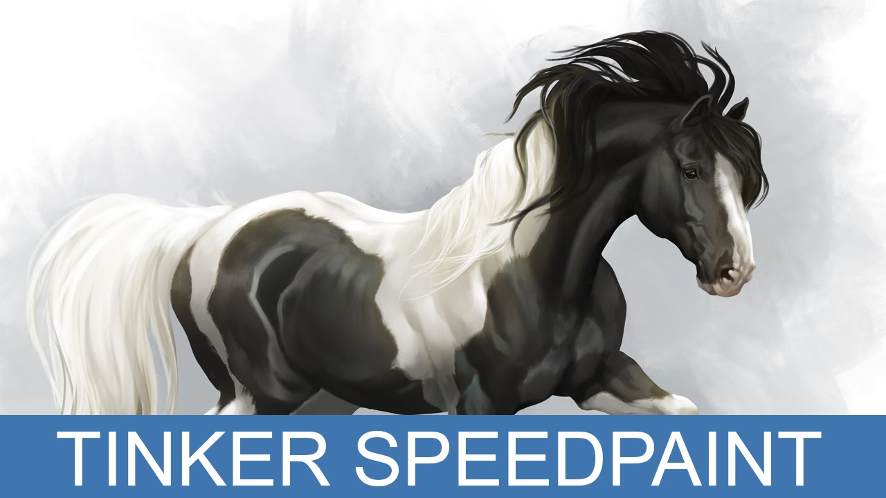 Star Stable speedpaint - Tinker by Fisky