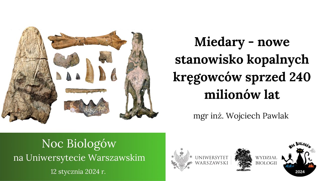 Miedary - nowe stanowisko kopalnych kręgowc&oacute;w sprzed 240 milion&oacute;w lat
