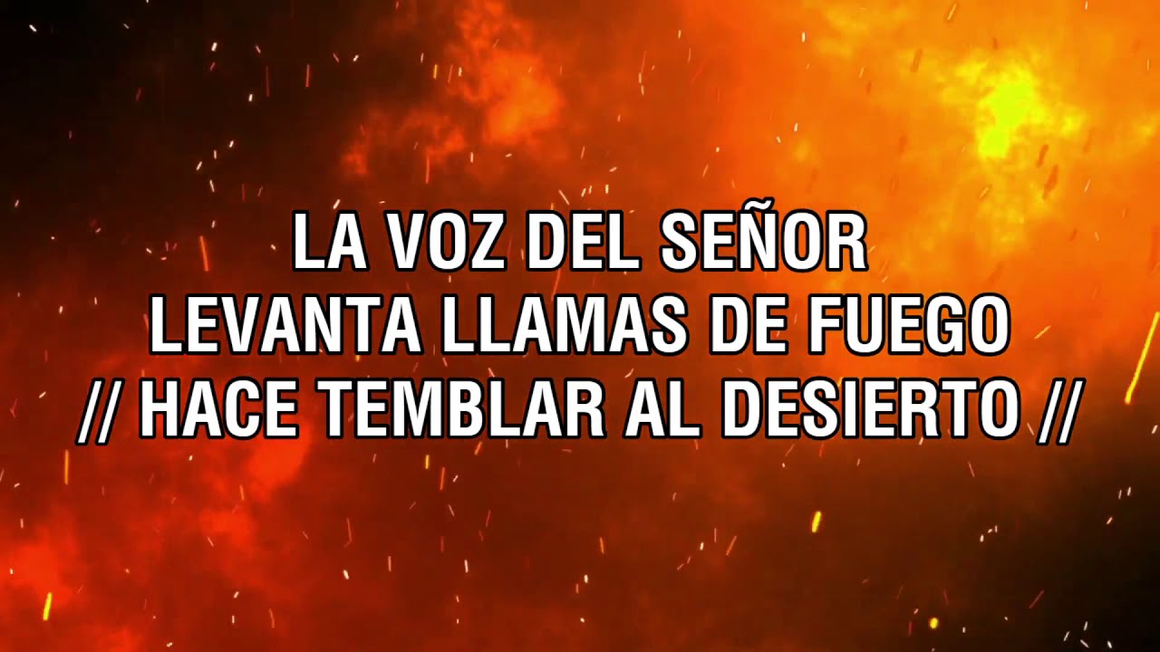 Salmo 29  (LETRA) | Casa de hijos