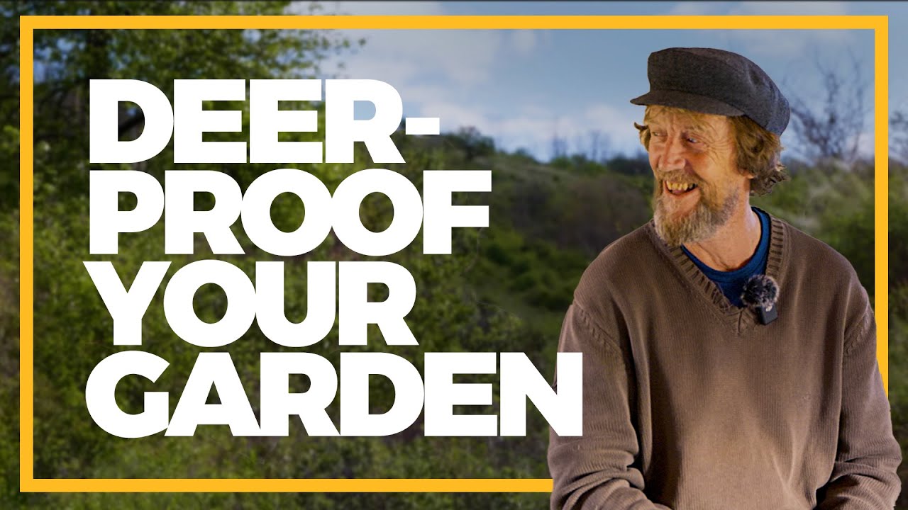Deer-Proof Your Garden