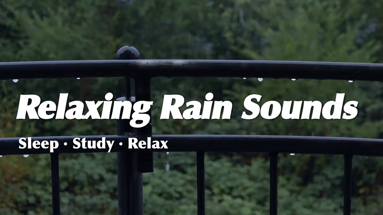Relaxing Rain Sounds for Deep Sleep & Focus — Nature Ambience (8Hours)
