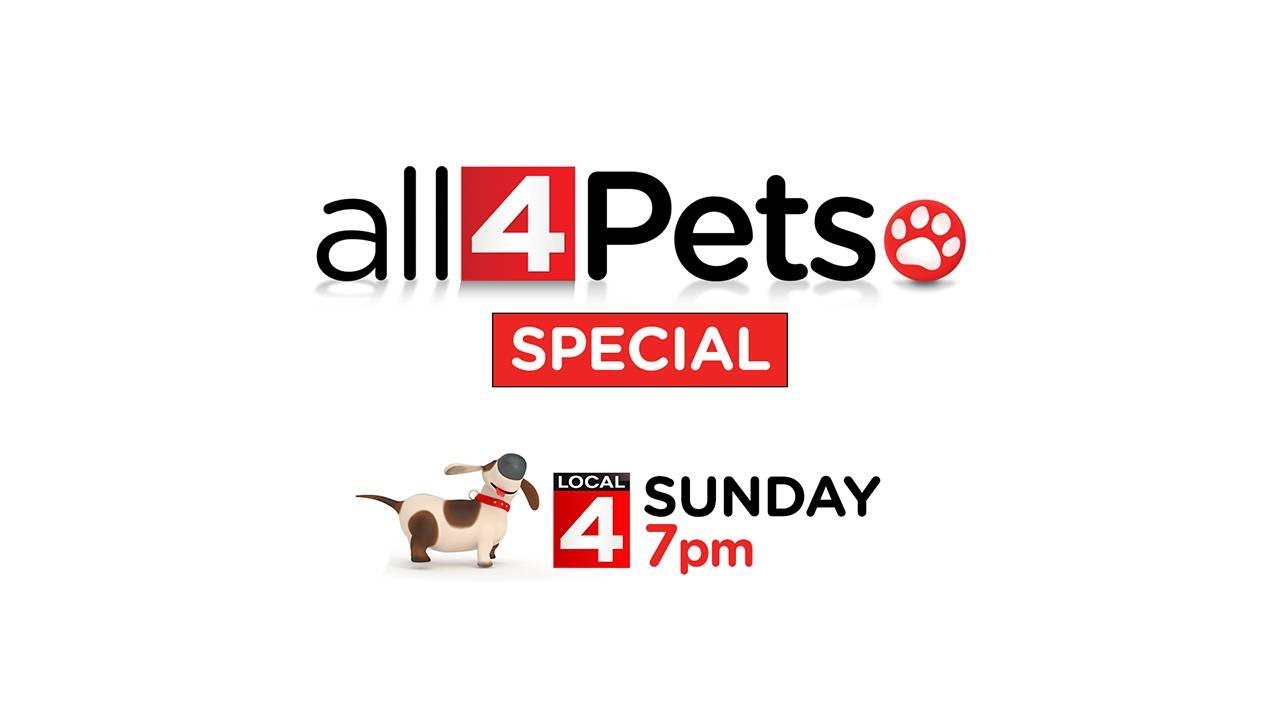 Sunday 7PM - 'All 4 Pets' Special on Local 4
