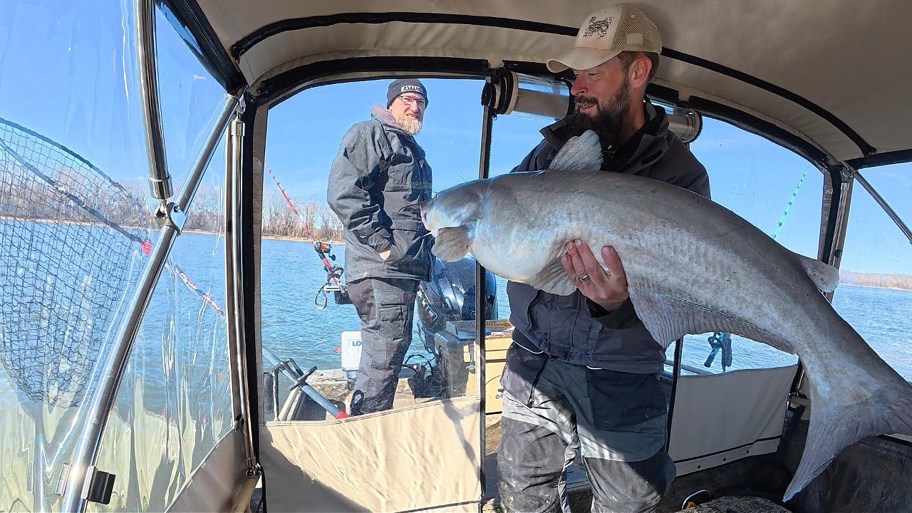 Didn't Have To Go Far For These Fish