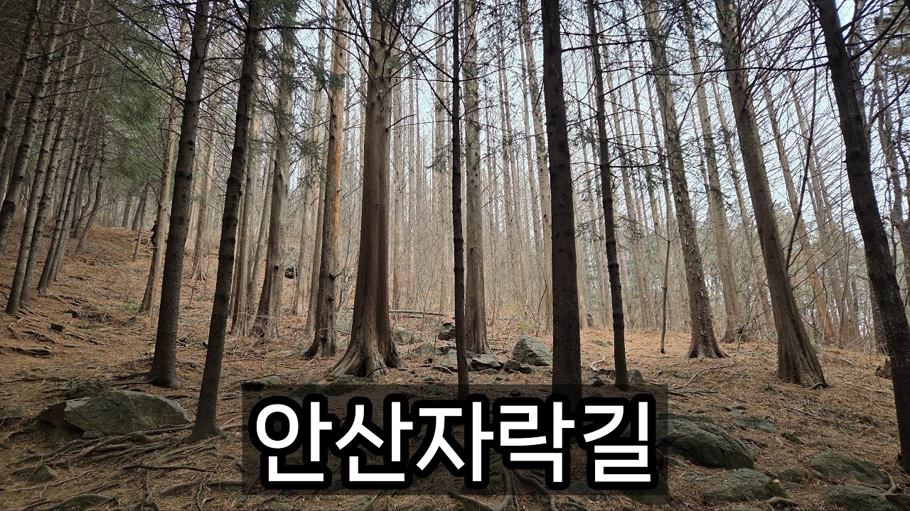 안산자락길 - 2026년 3월 1일