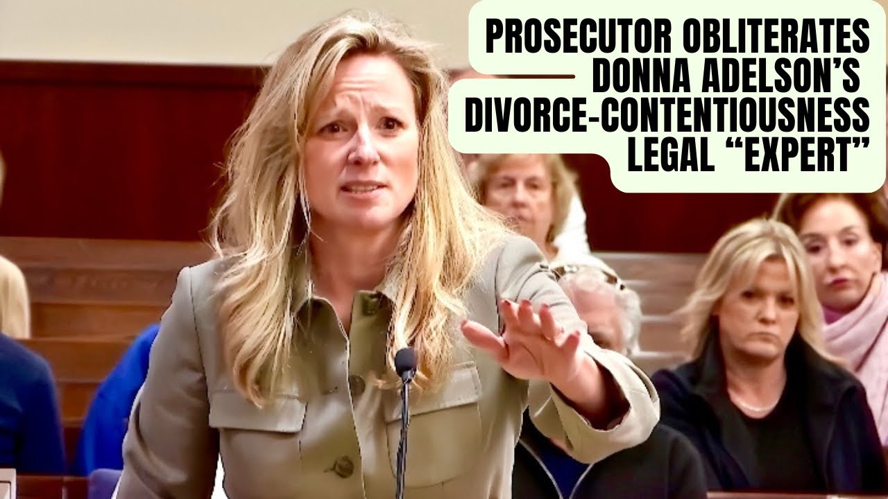 Prosecutor's Blistering Cross-Examination of Lawyer Turned "Divorce Contentiousness Expert"