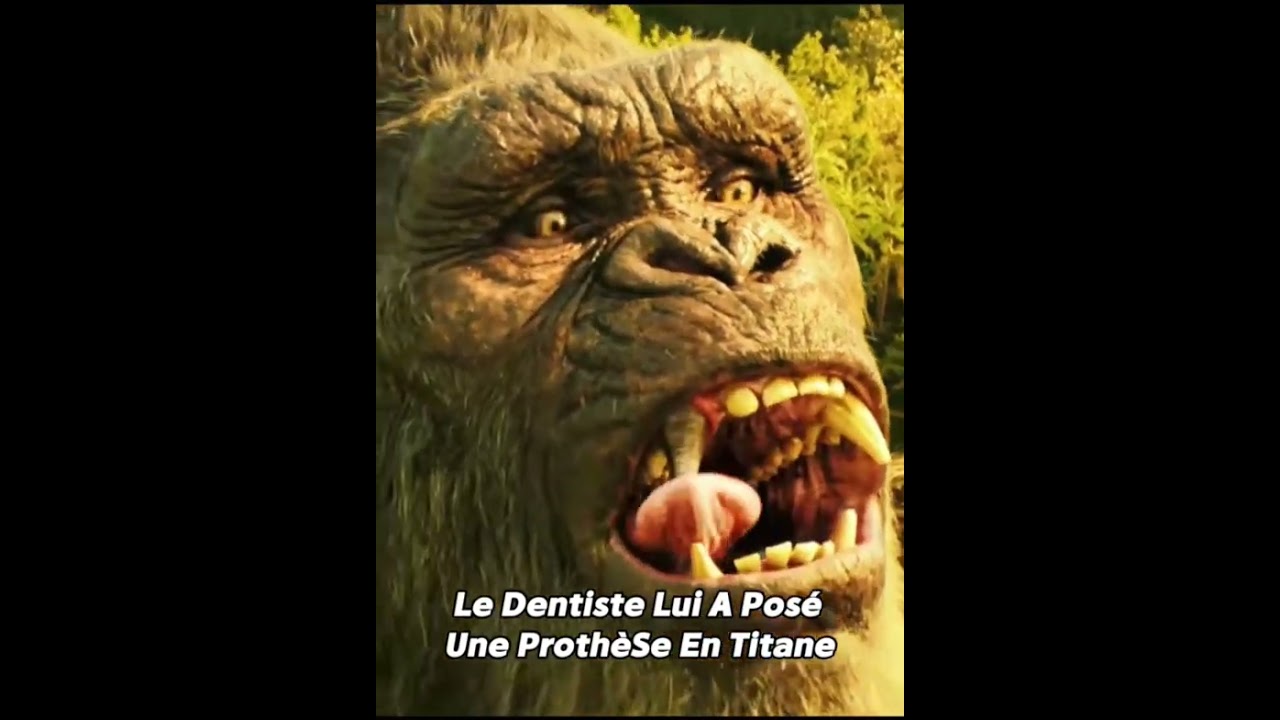 Nom du film de la vidéo courte YouTube KingKongvoulait just prdre son petit déjeuner 