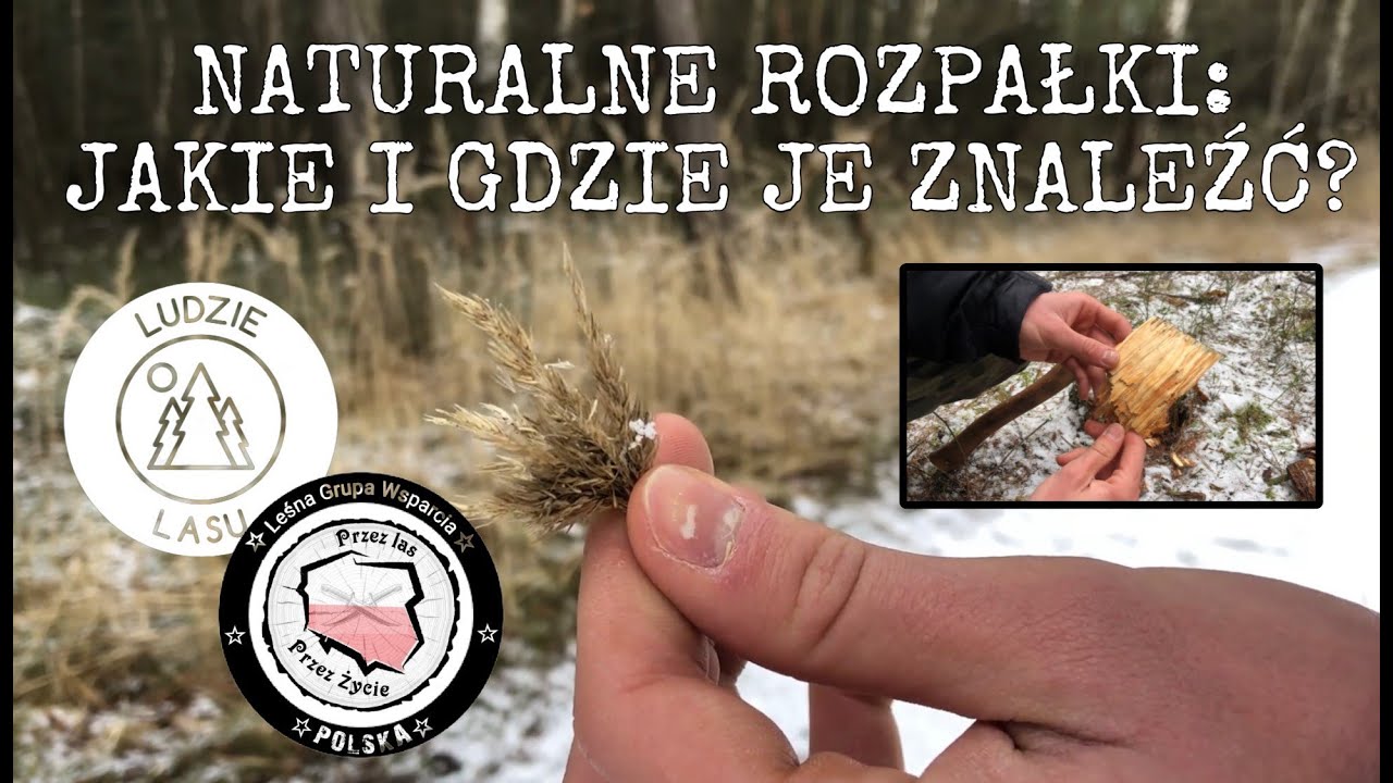 Naturalne rozpałki: Jakie i gdzie je znaleźć? #lgwpolska