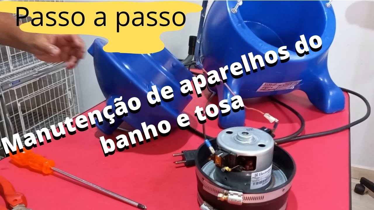 Como limpar secador e soprador de banho e tosa. Manutenção quinzenal