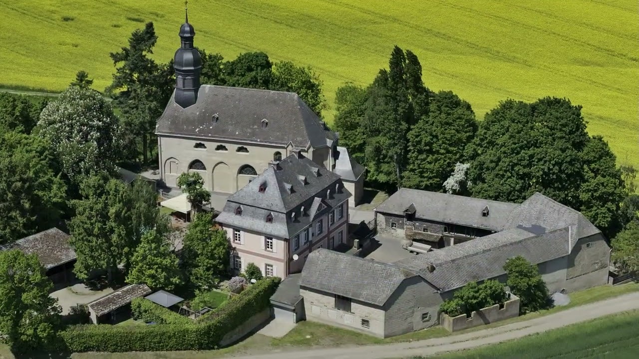 Die Pellenz im Raps