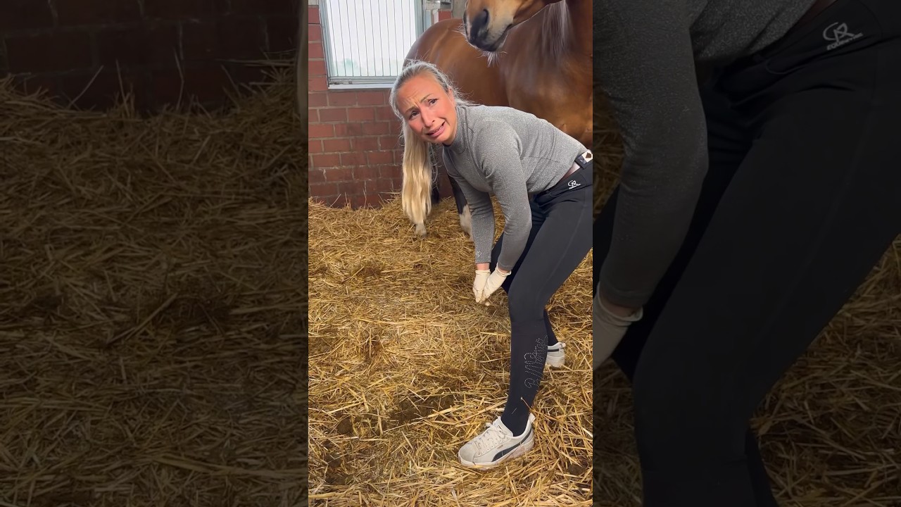 Pferdehofliebe - Ehering verloren!😨 #pferdehofliebe #equestrian #youtubeshorts #pferde #shorts #fy