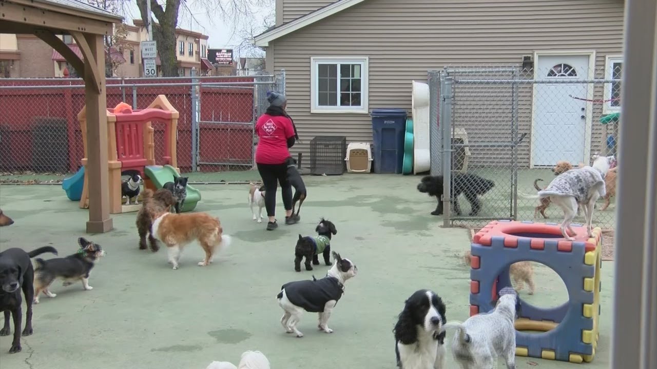 Spending on pets exceeding $69 billion