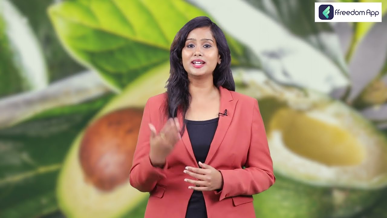 Avocado Fruit Farming: பட்டர் ஃப்ரூட் சாகுபடி மற்றும் அதிக லாபம் ஈட்டும் வழிகள்