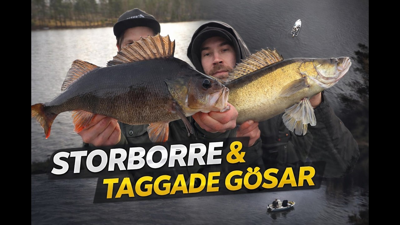Den Heliga fiskedagen & g&ouml;stjuven