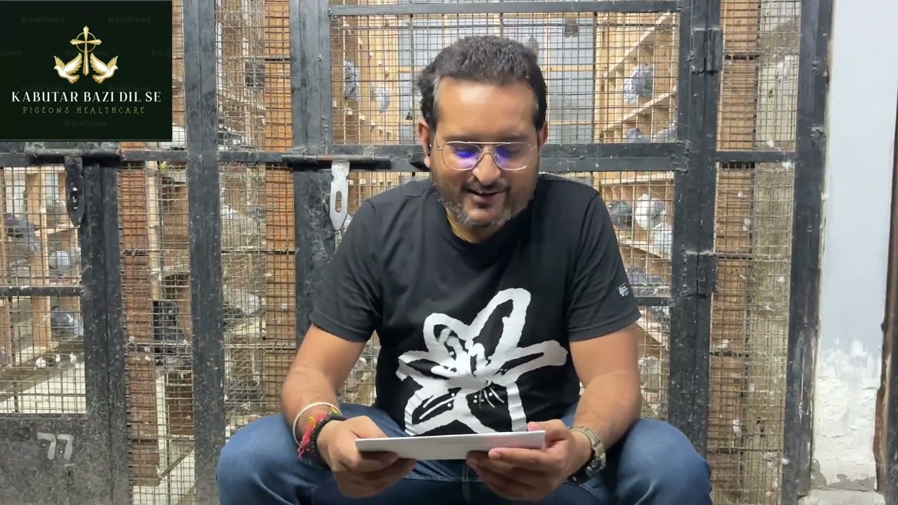 🕊️कबूतर के बाजू ख़राब होना / पेर से लगड़ा होना / बाजू और पेर पे गाँठ का १००% इलाज़ 🕊️
