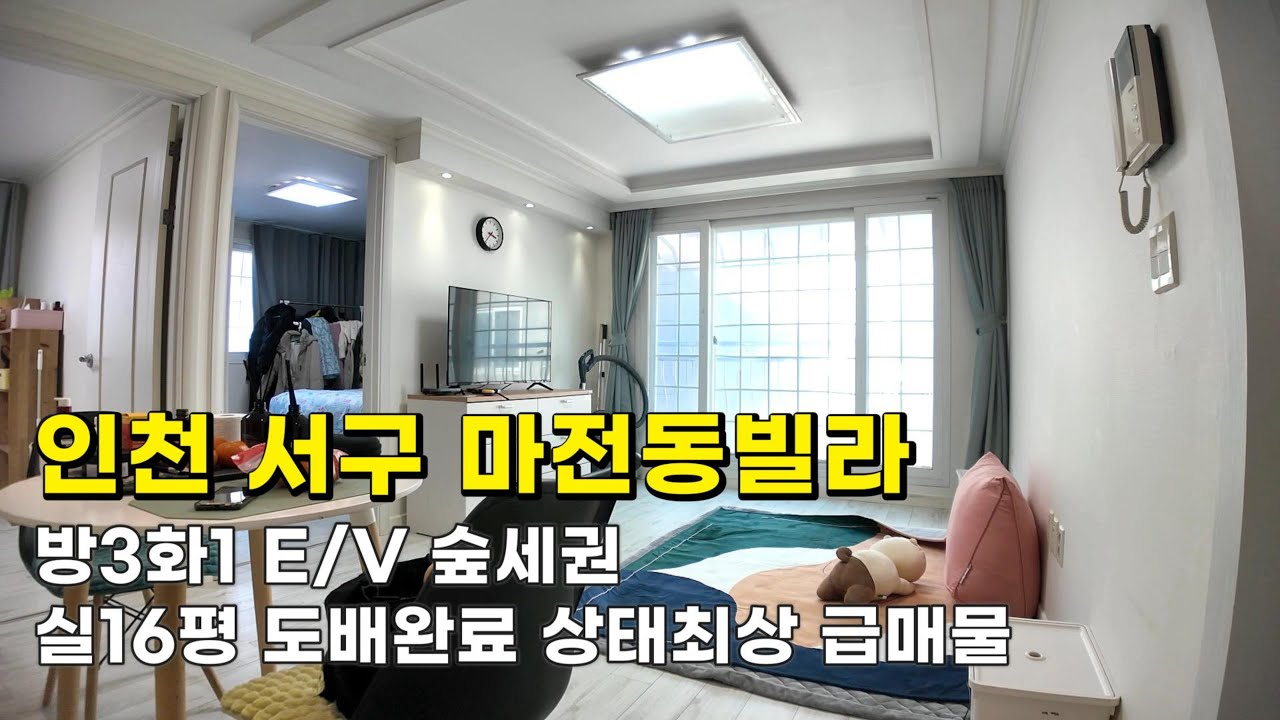 인천 마전동빌라 (26009) 숲세권 1억1천500만원 방3화1 E/V 동향 실16평 도배완료 상태최상 급매물#마전동빌라#마전동빌라매매#인천빌라매매#인천빌라급매물#마전지구빌라매매