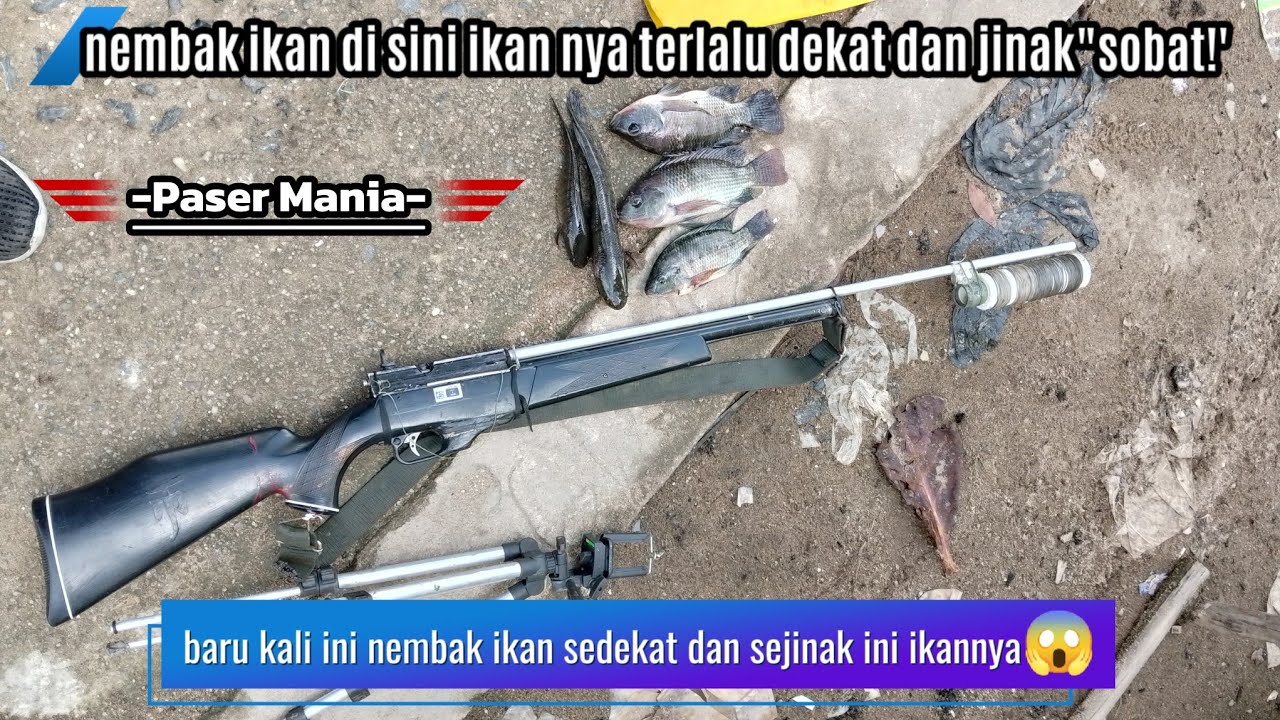 Gil4!'.. ikan di sini pada jinak-jinak mana jaraknya dekat sekali lagi!'😱