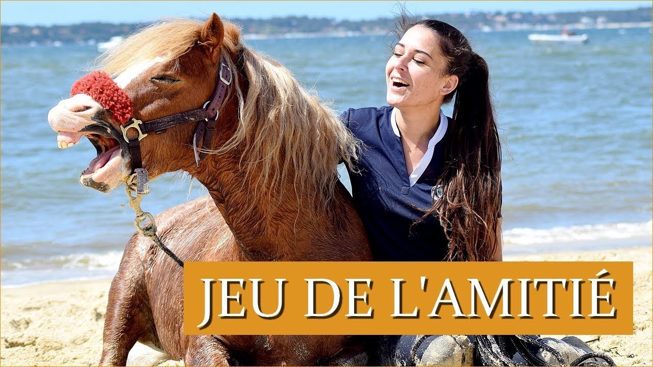 LES 7 JEUX PARELLI - 1/7 Jeu de l'amitié