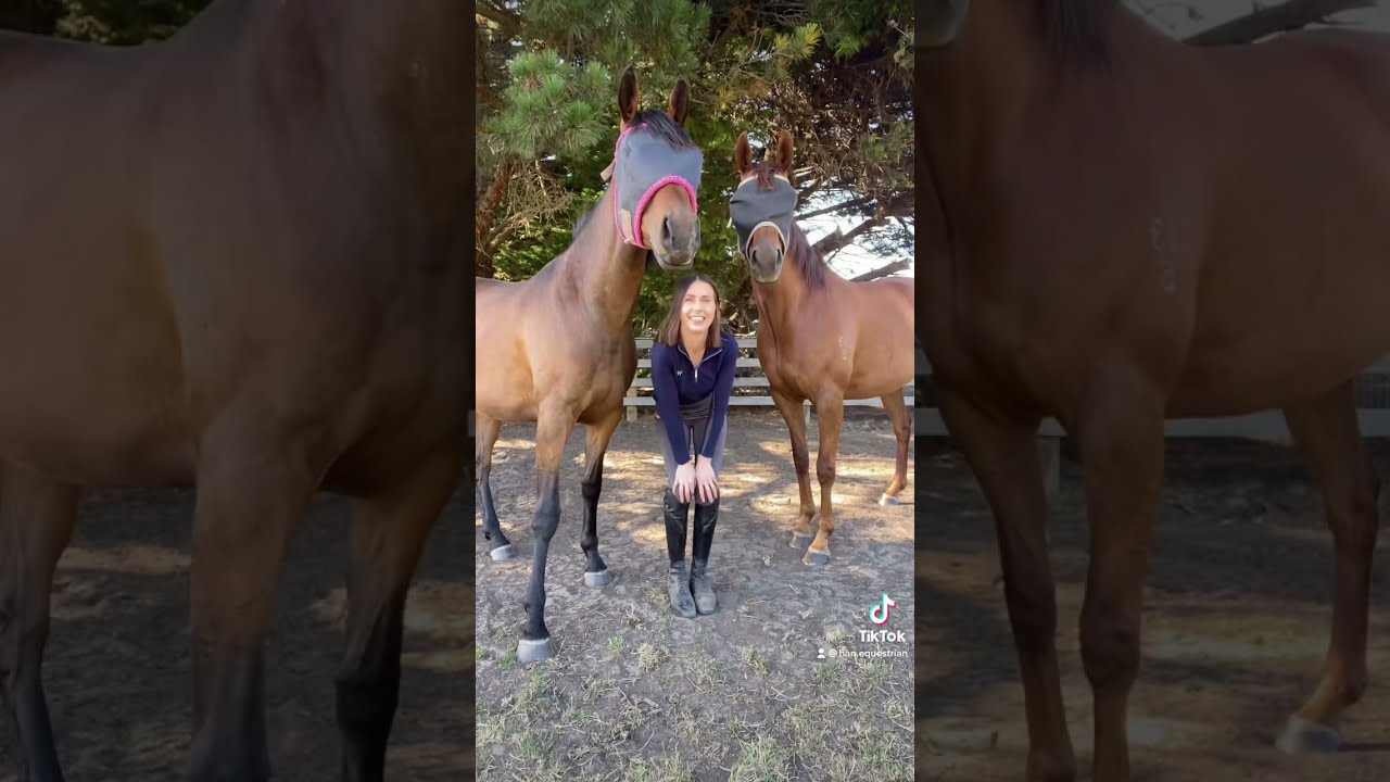Включите этот звук, чтобы сфотографировать свою лошадь... поверьте мне 🤣
