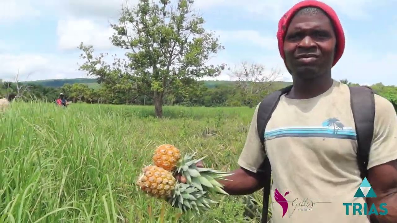 Le Biodigesteur de la FEPAF-BG, un pas de plus vers l'agriculture durable.