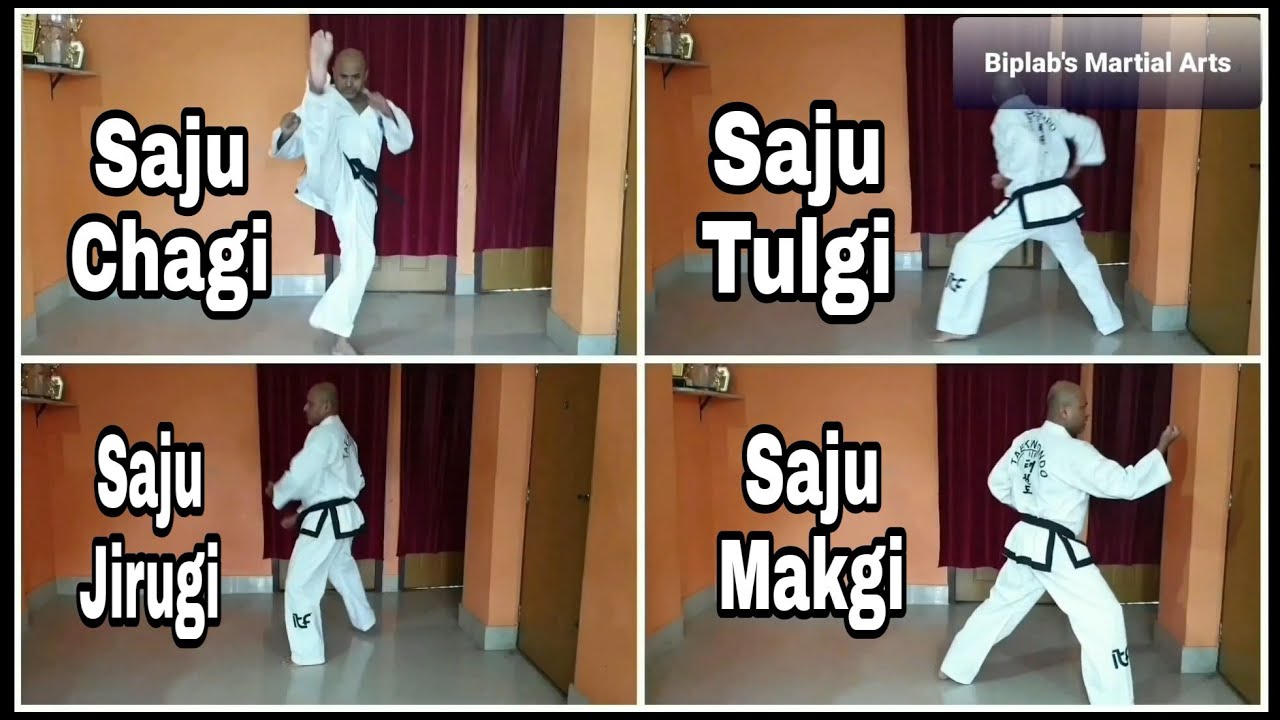 Saju Jirugi Saju Makgi by Biplab Laskar 4 Directional Punch Block