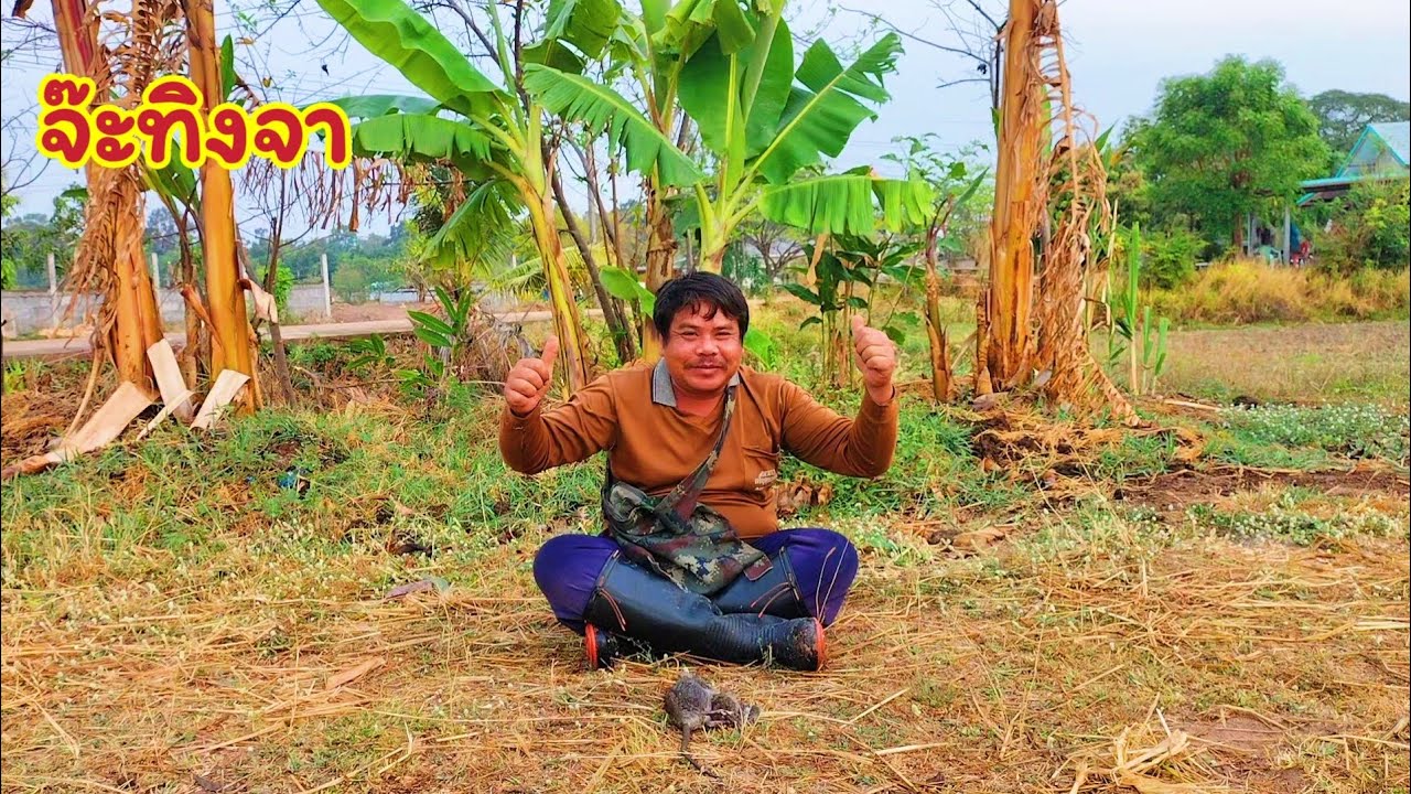 ดักหนูนาหาอยู่หากิน ต่อให้มีปีกบินหรือหายตัวได้ก็ไปไหนไม่รอด หมานสุดยอดเหมือนเดิม สุดจัดจริงๆ 