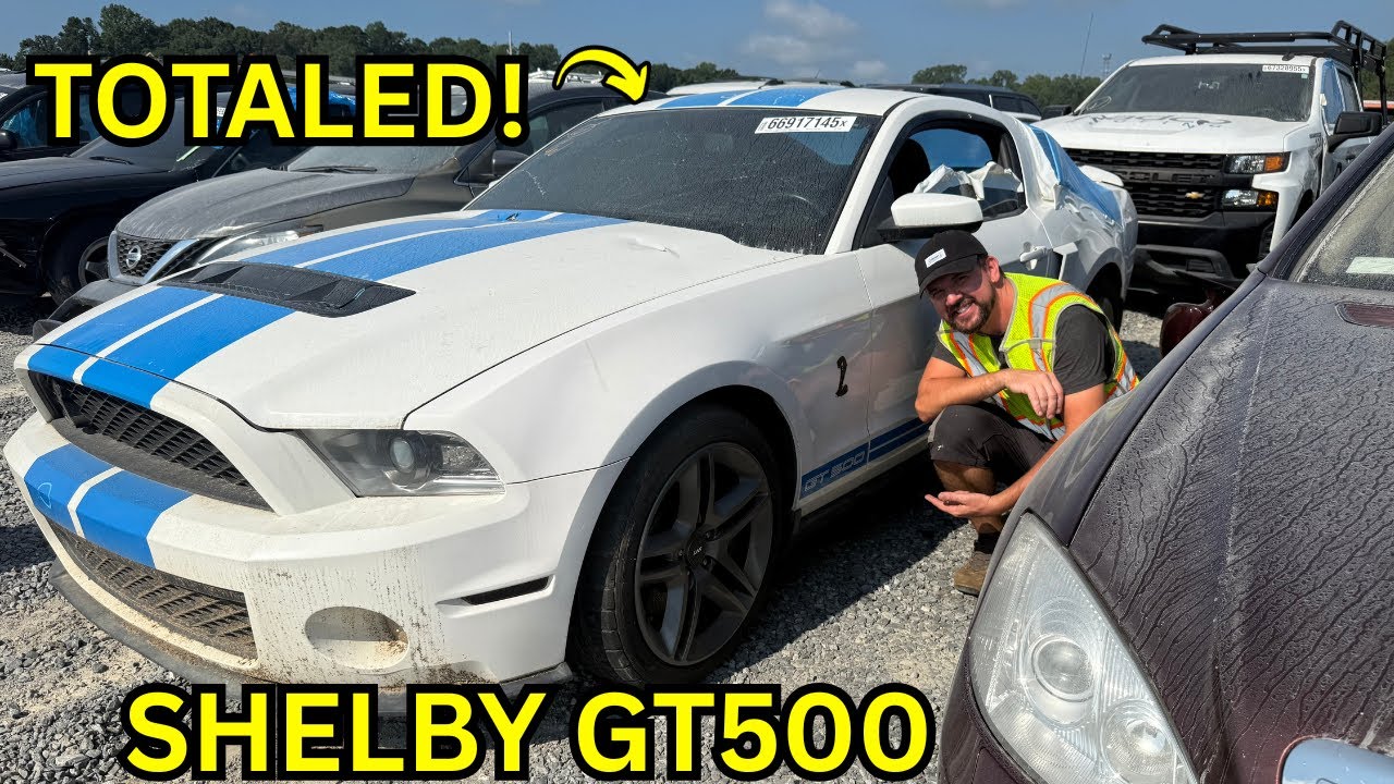 Dream Car or Total Loss? INSANE Wrecked 2010 Shelby GT500 Walkaround