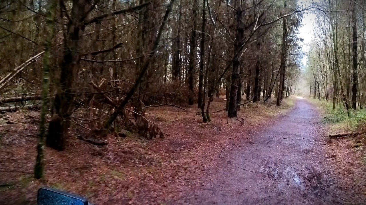 .. Cannock Chase .. 'The - Track bed trail' ..