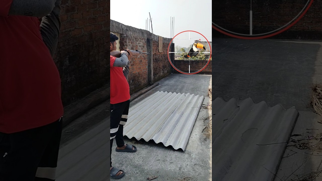 🔫 One Shot One Kill | Bird Hunting King 👑 